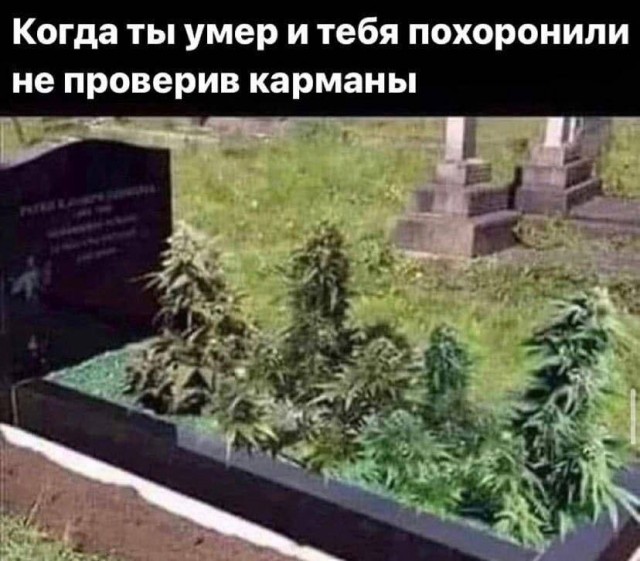Картинки для деградации 9 (разной степени свежести)