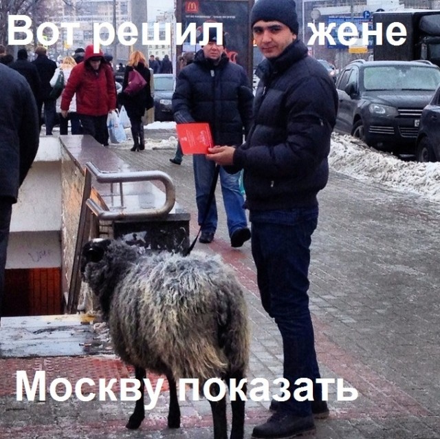 В изолятор отправили группу мужчин, которые устроили свадебные танцы на дороге