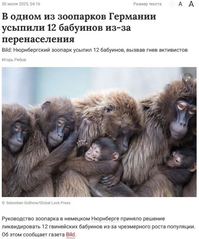 Зоопарк Лейпцига усыпил трех детенышей амурского тигра
