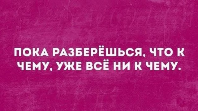 Так себе картинки 24.08.25