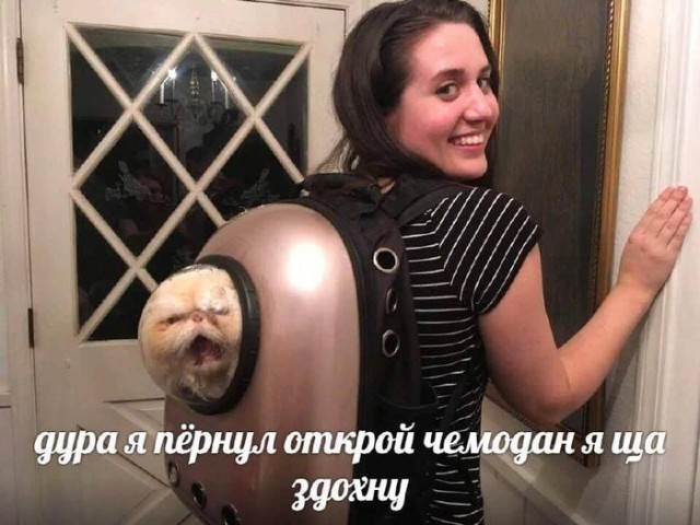 Картинки для деградации 102 (разной степени свежести)