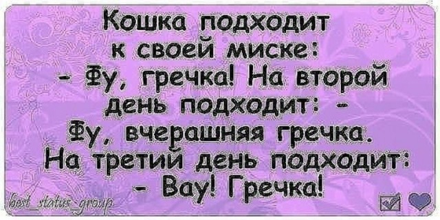 Внимание вопрос