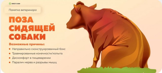 Развеиваем миф, что в СССР вдоволь-то и не ели и сравниваем с современностью