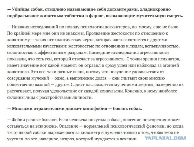 Артемия Лебедева  массово критикуют в соцсетях из-за слов о бездомных собаках