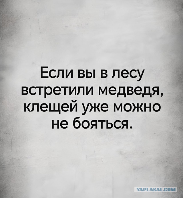 Понедельника картинки