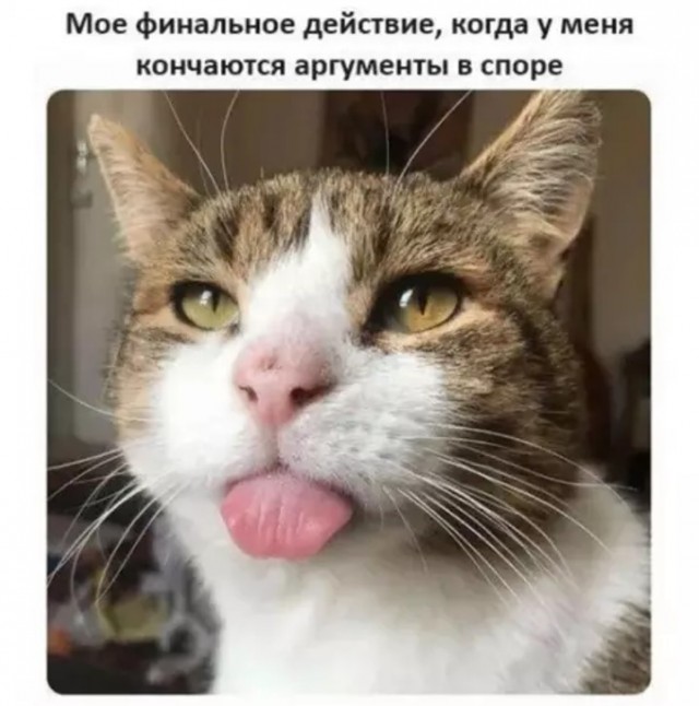 Картиночки, баянчики 21 апреля