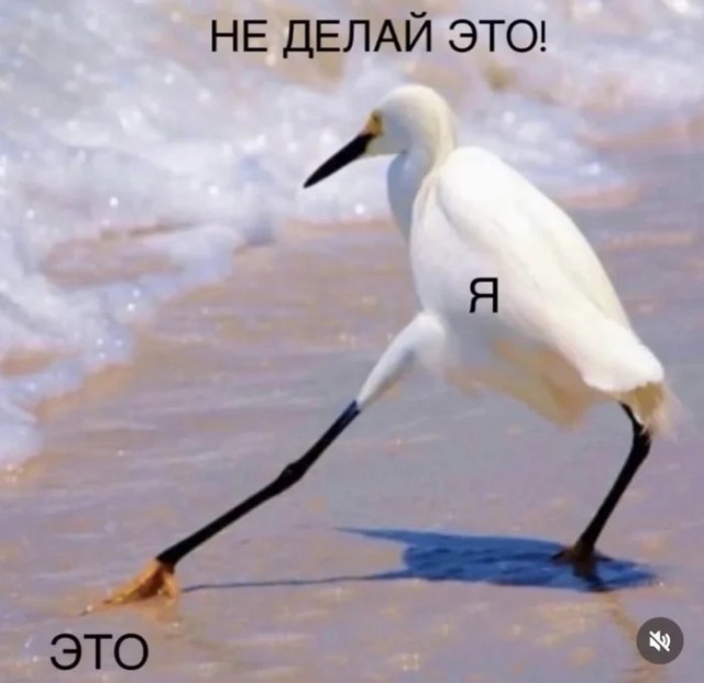 Пятничные картинки