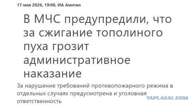 Экстренный выпуск от СоПогИ*