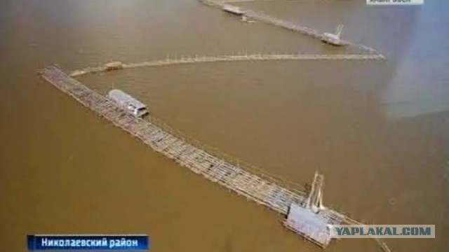 Рыбная движуха со стрельбой, блекджеком и котами