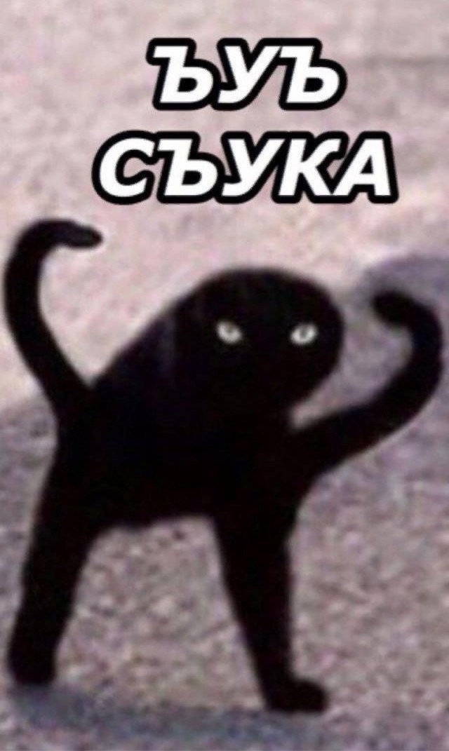 «Suki...»