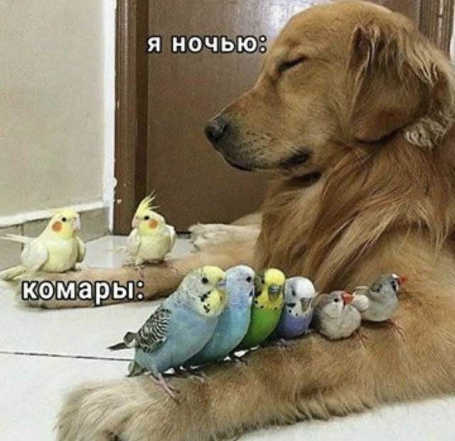 Маленькая пятница
