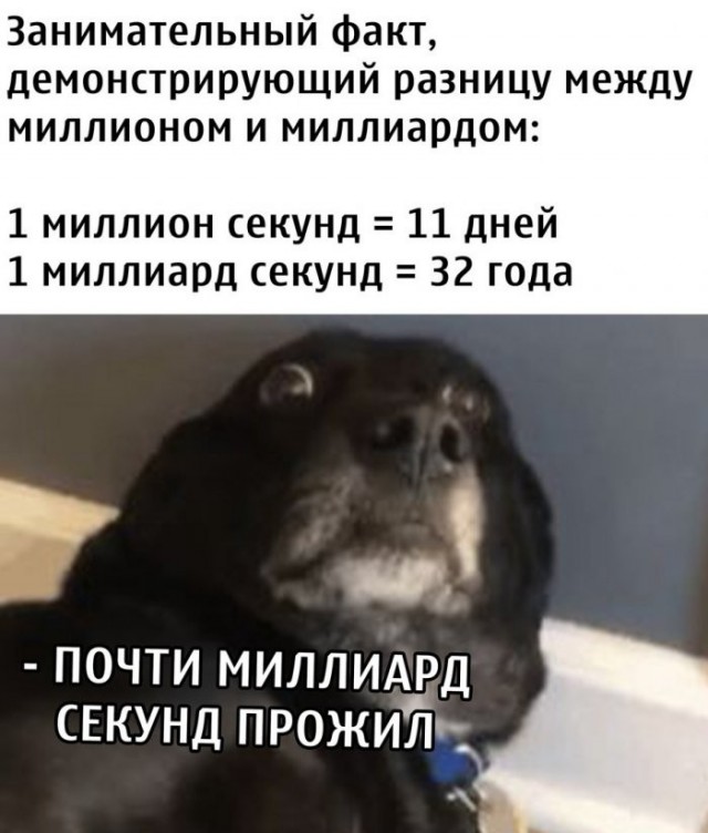 Веселые картинки в пятницу (14.08)