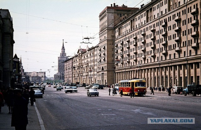 1981 год в цвете. СССР. Незабываемое