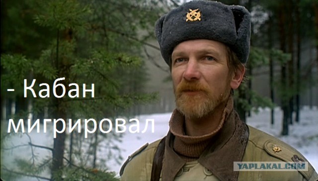 Не каждый день такое увидишь
