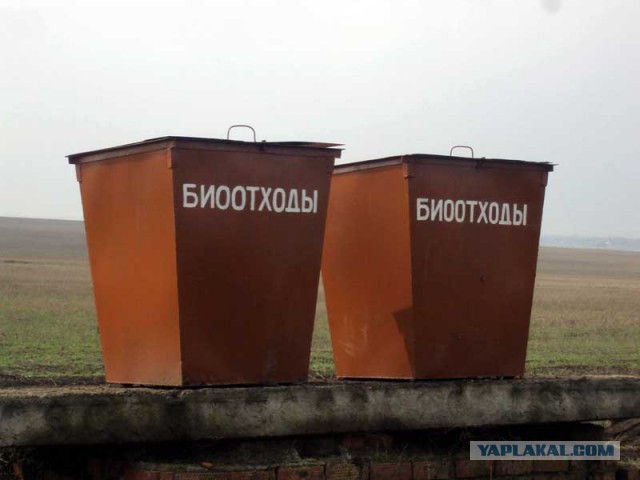Животное борется за бухло