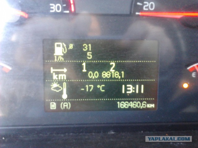 Где яблоки растут!