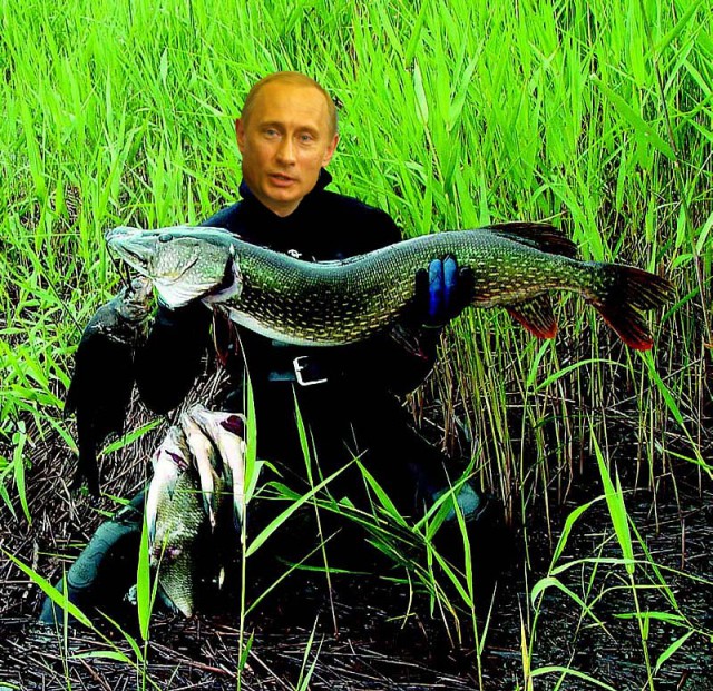 десять «удивительных» фактов о Путине