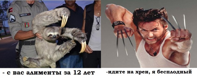 Фотки из интернета.