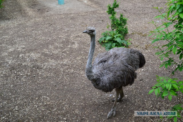 Отдых в Крыму 2014
