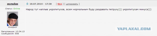 На Украине рухнул Боинг-777 малайзийских авиалиний