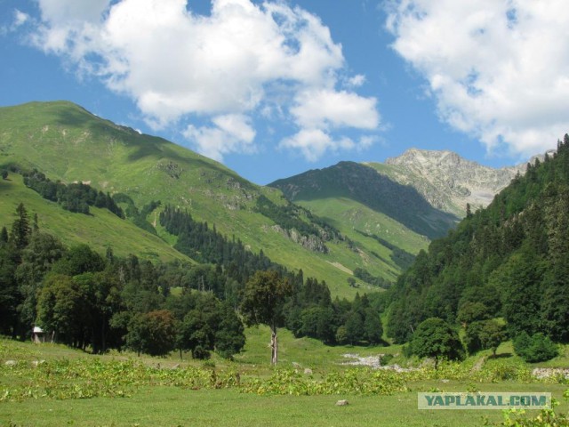 Прекрасная Абхазия