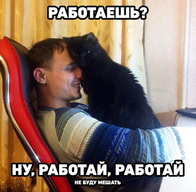 Моя подборка веселенькой мути
