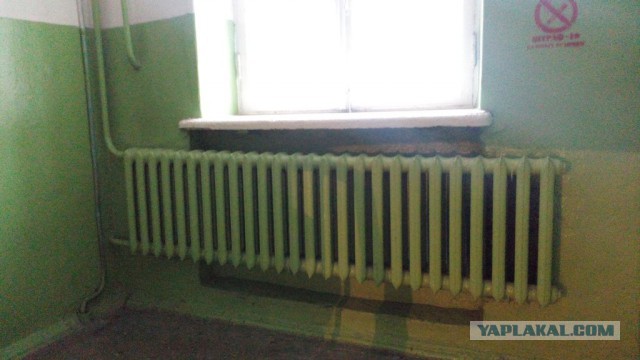 Умом Россию не понять