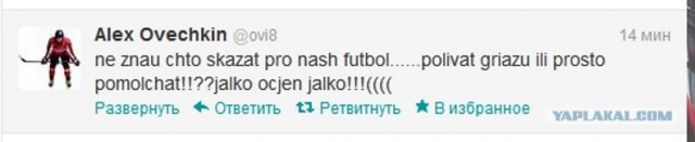 Кубок Аршавина