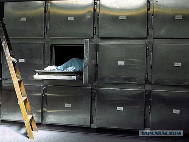 Не бачишь, що я спешу?!