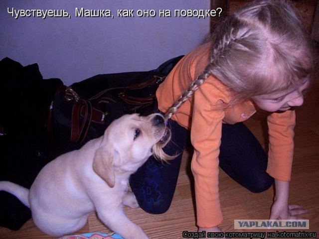 Немного братьев наших меньших! ЧЕТВЕРГ