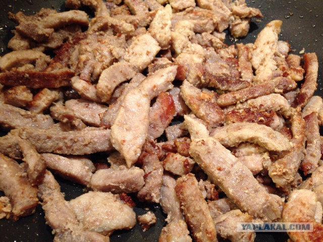 Папоротник Осмунда с мясом