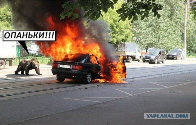Картинки для настроения
