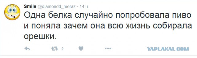 Смешные комментарии 20.12.2015