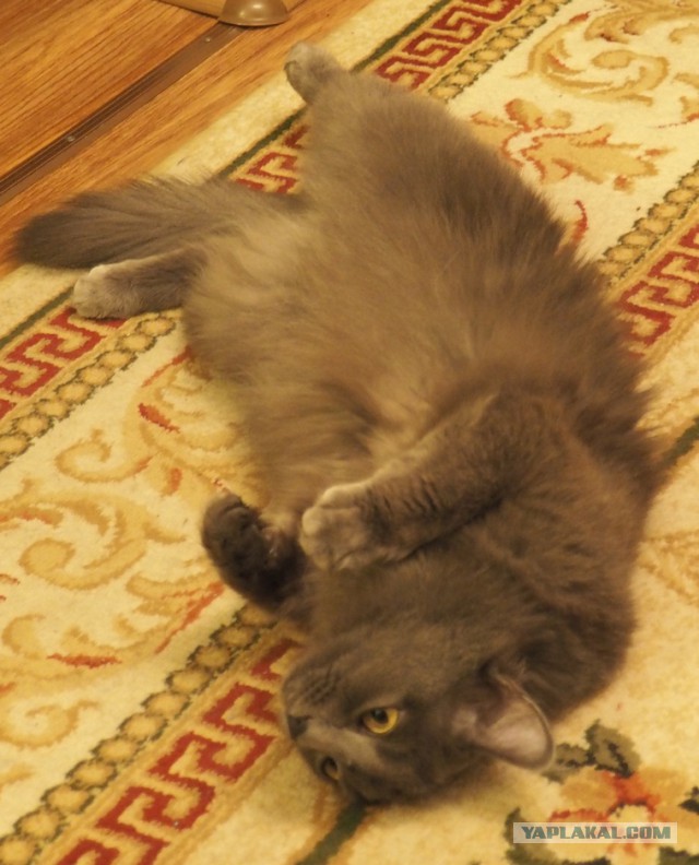 Многодетная мать отвлеклась на пару минут и потеряла любимую дочь.