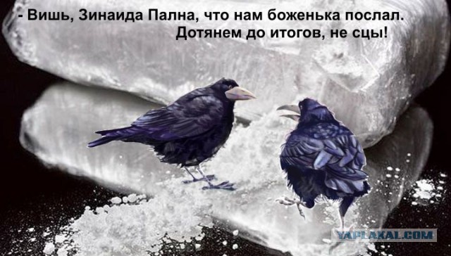 КОКОС: Возрождение Легенды. Голосование