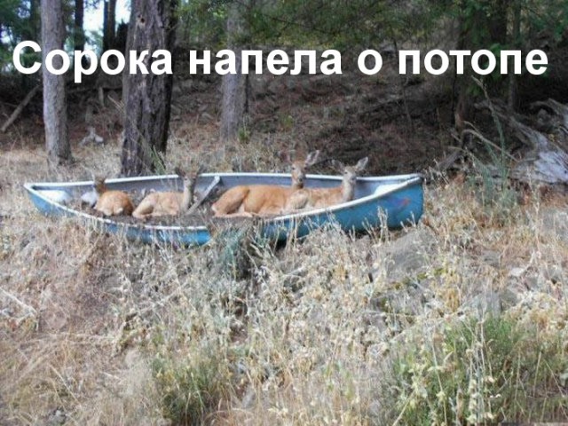 Подборка интересных и веселых картинок