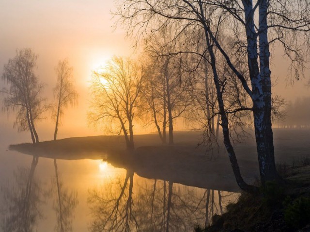 Моменты, запечатлённые на фото и просто позитив 5