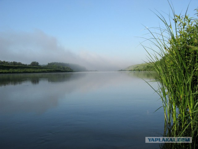 Тоска по лету и жидкой воде