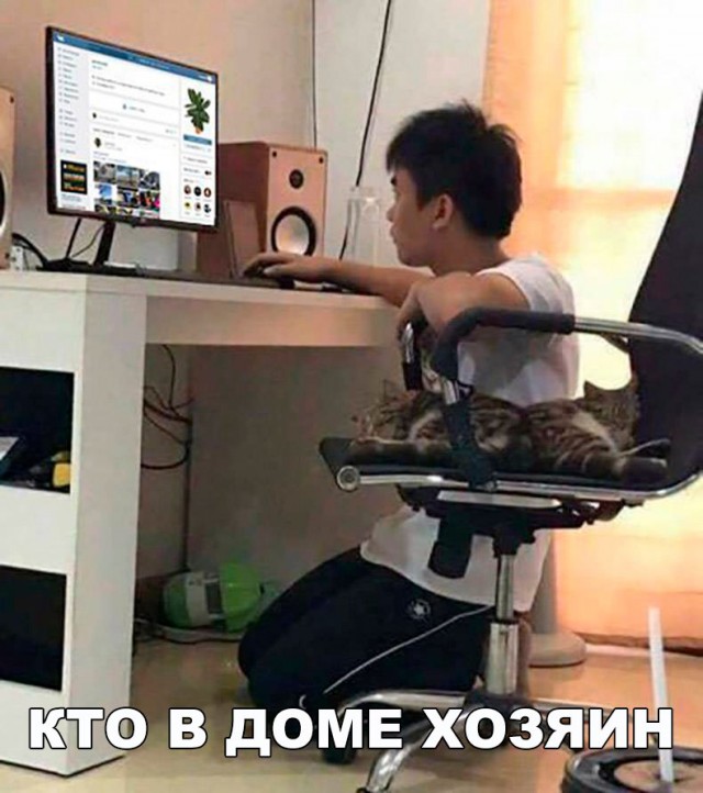 Подборка безудержного веселья