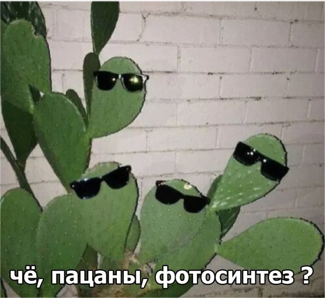Тупанём?