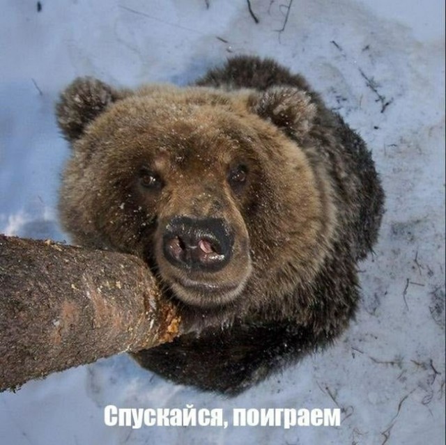Просто картинки