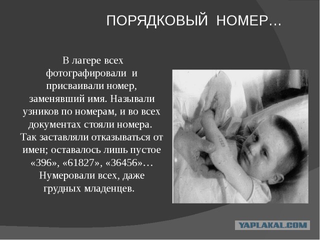 Каждый гражданин России получит единый идентификатор к 2019 году