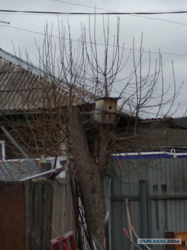 Обрубки - это "красиво"? Пилят во всех смыслах...
