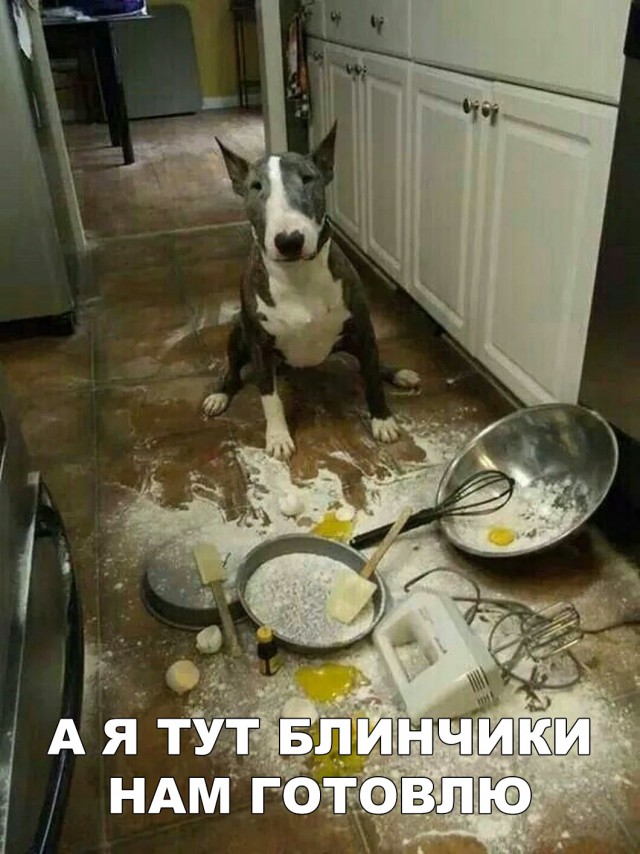 Нестандартный юмор