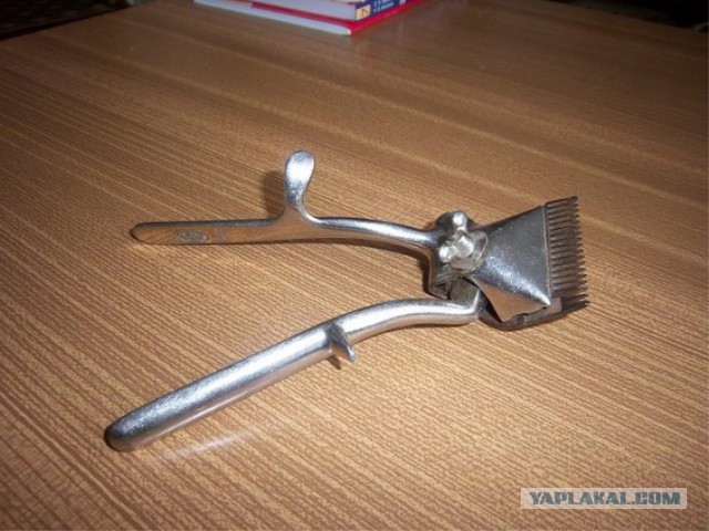 Надо ли мужику брить пах: плюсы и минусы