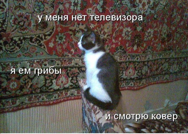 Первый канал пробивает очередное дно