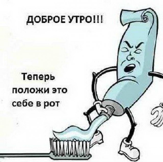 Применим физику в постели или белка и стрелка. Картинки