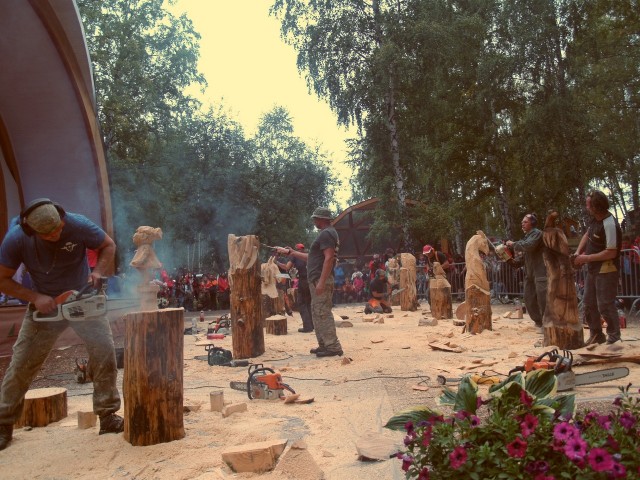 Божья коровка