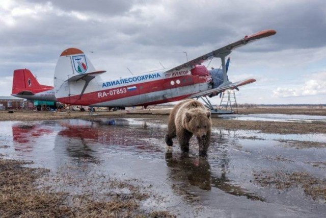 Многокартинок