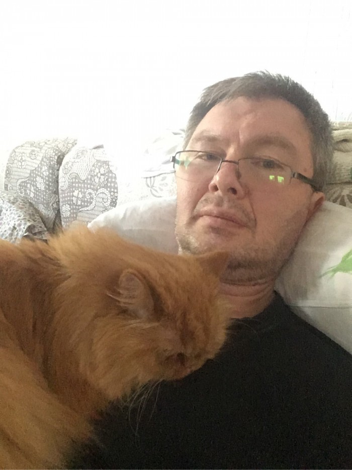 Котовторник *новогодний* 31/12/2019